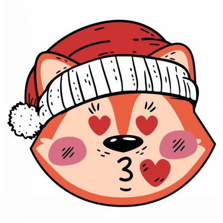 Lisek w czapce mikołaja