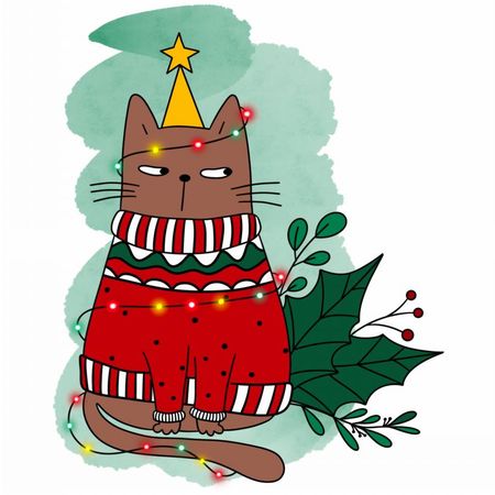 Świąteczny kociak
