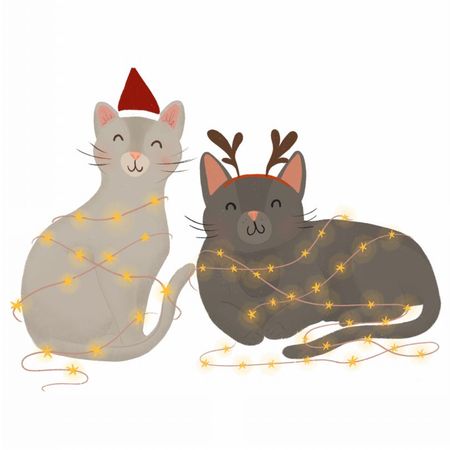 Torba bawełniana eko „Koty w lampkach” 220 g