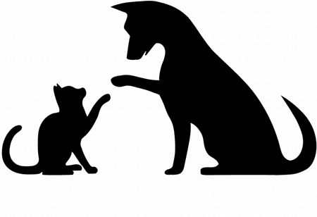 Kubek ceramiczny biały Przyjaciele Pies I Kot | Bavenna